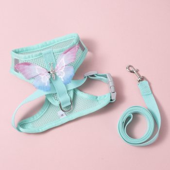 Breathable Small Dog & Cat Harness Set with Butterfly Design for Summer Walks