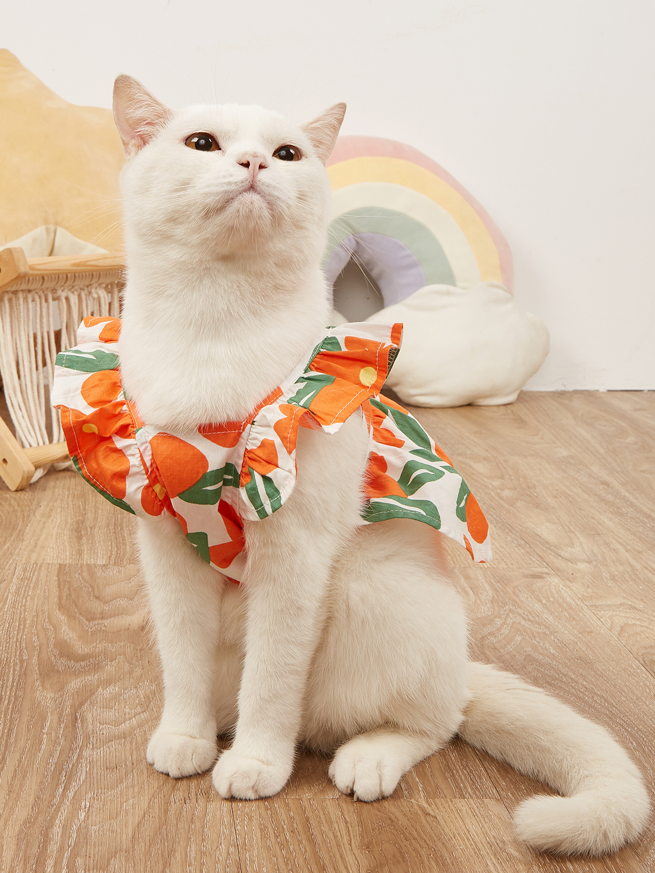 55822-5d7f9e.jpg