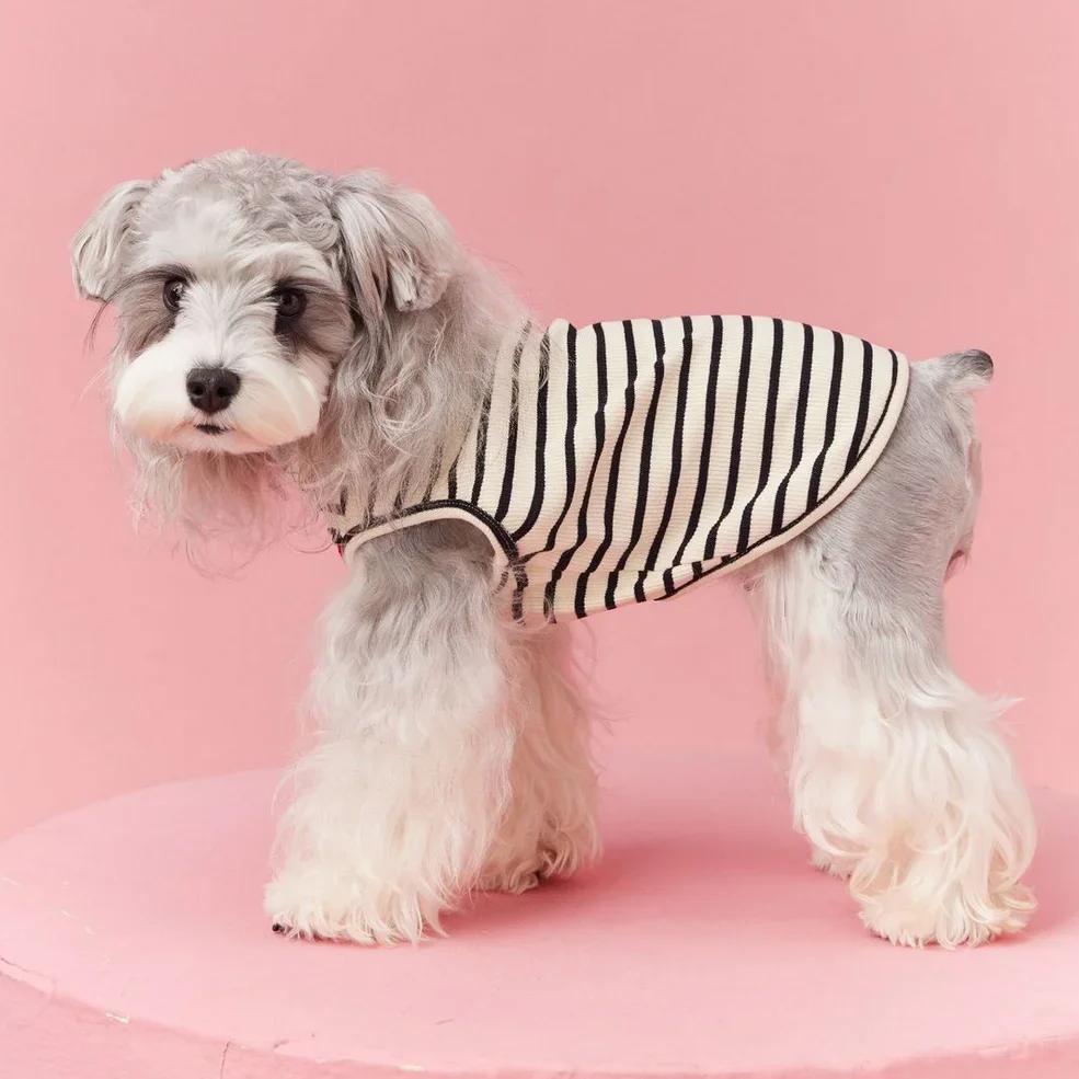55812-744ef8.jpg