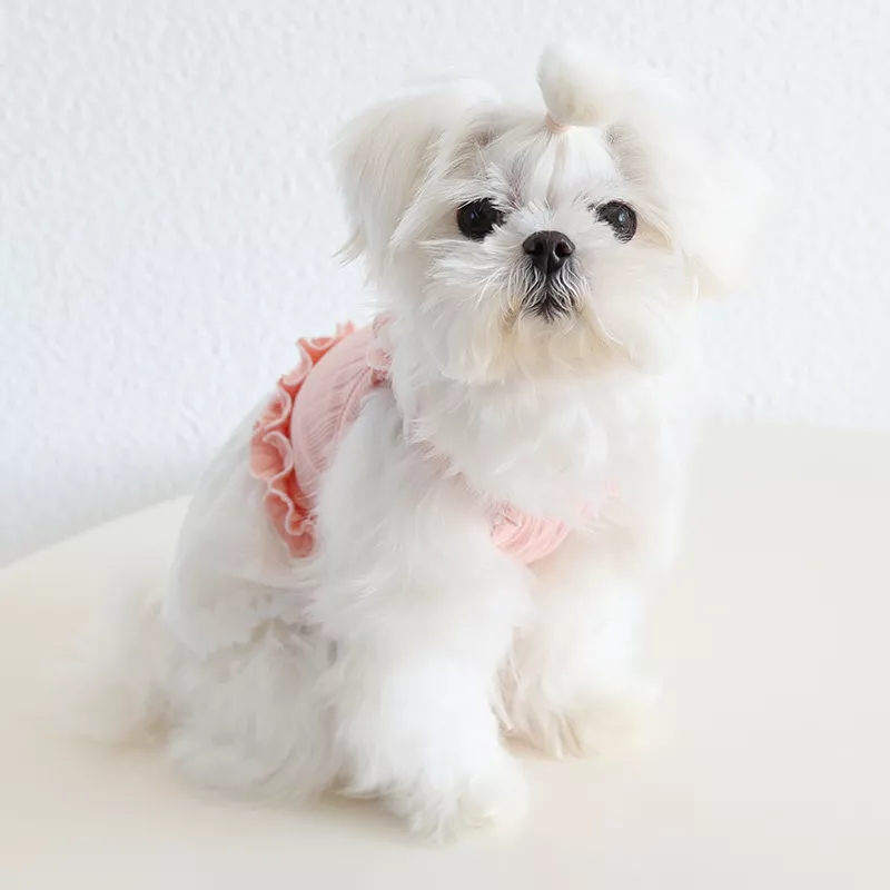 38865-fd8185.webp