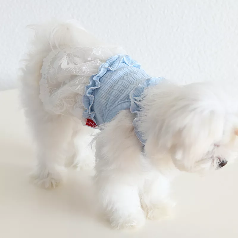 38865-cb4276.webp
