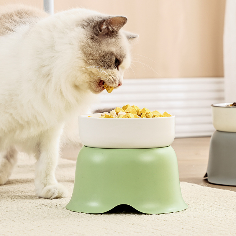Elevated Ceramic Stainless Steel Cat Dog Bowl Anti-Tip Flower Design Feeder view 3