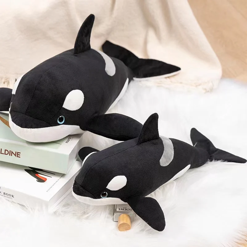 80737-dd78b8.webp