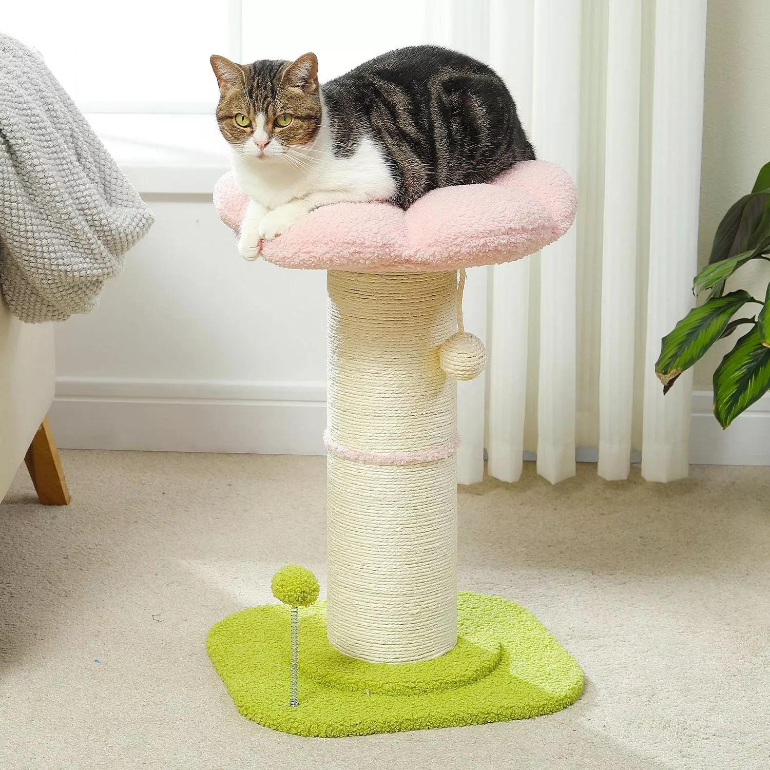 1093-f8e990.webp