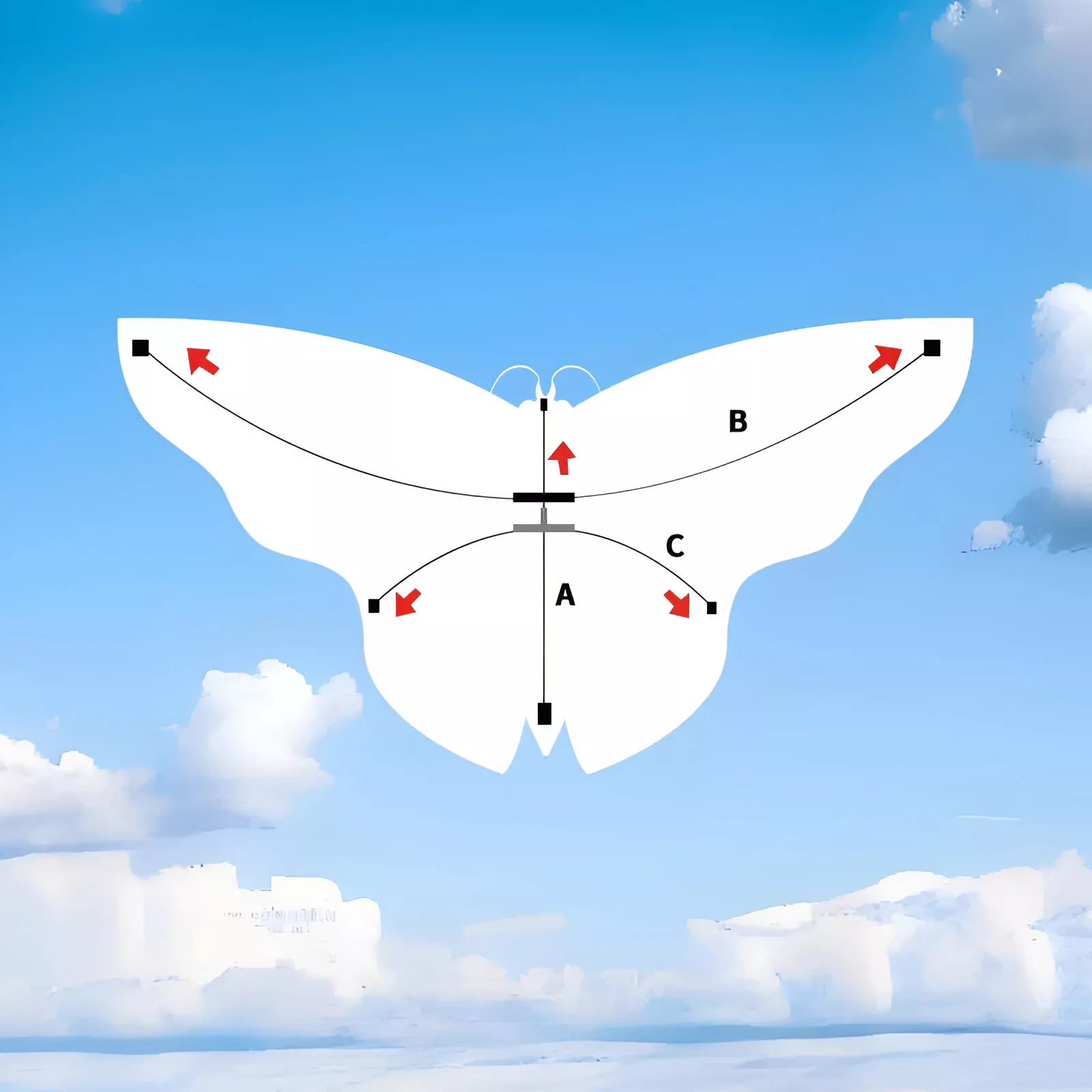 45741-8c9c14.webp