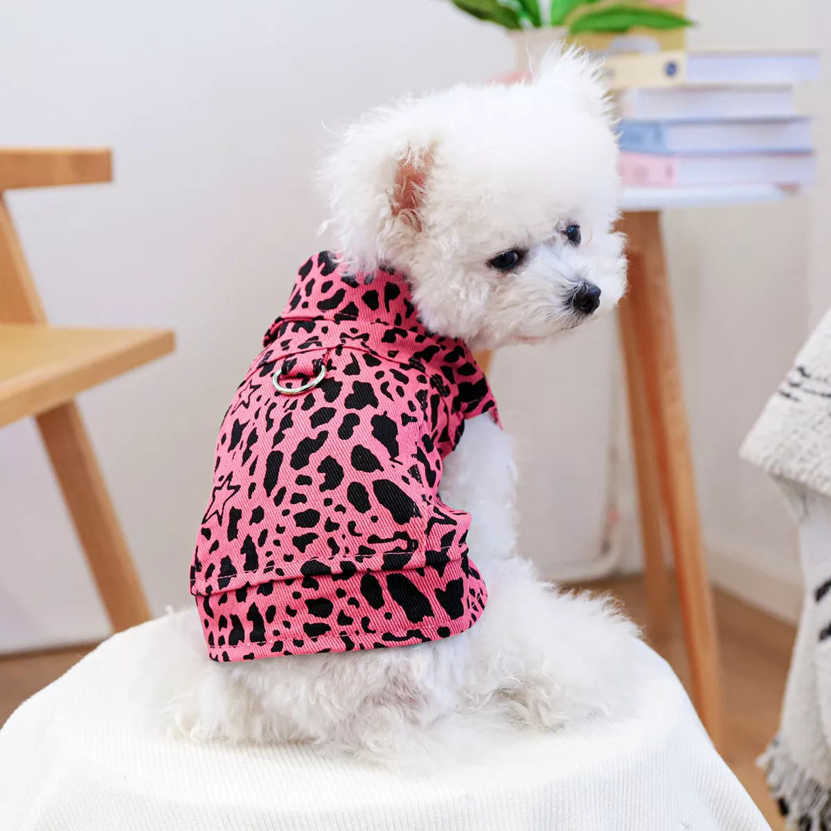 100942-bd4dc7.webp