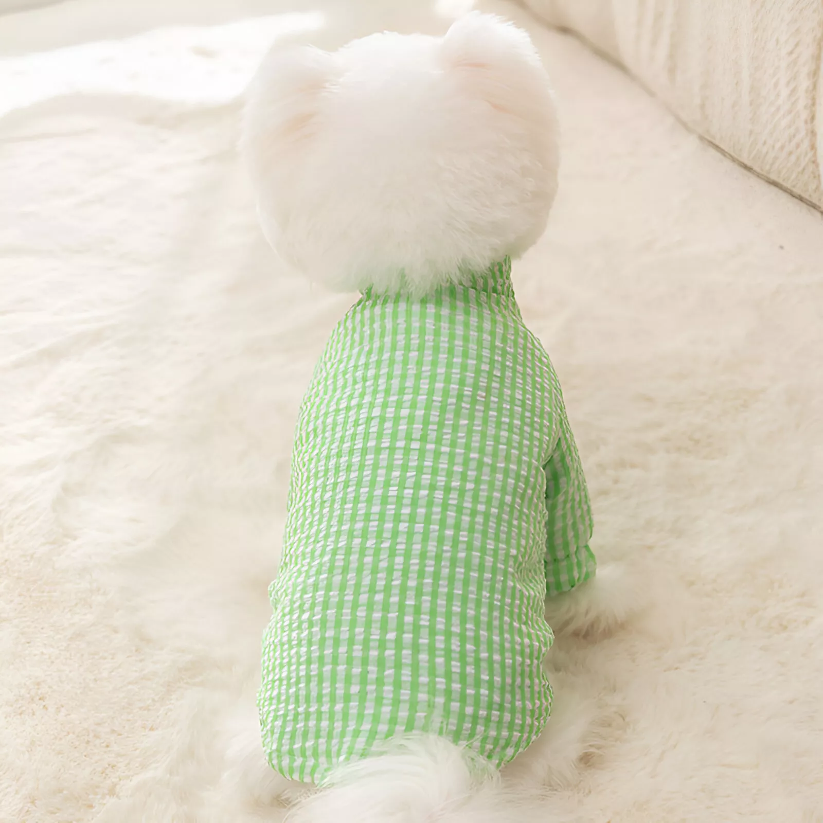 100771-8e6935.webp