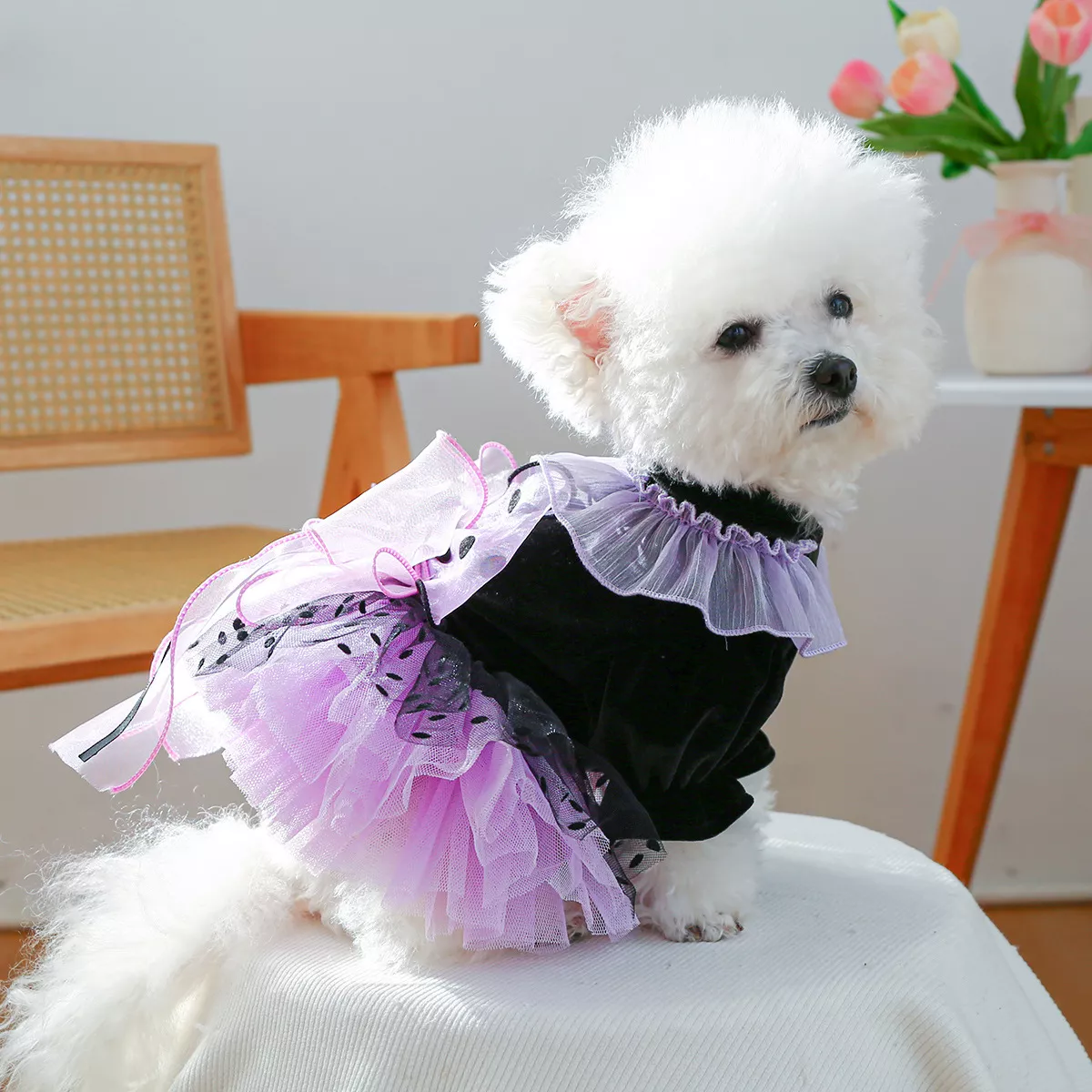 65154-2063f6.webp