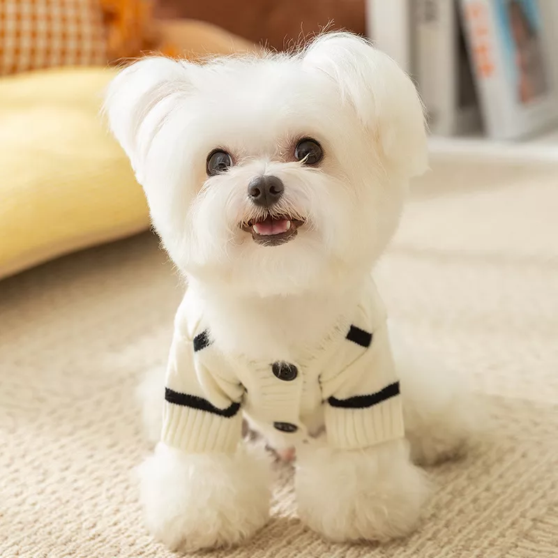 100738-92975a.webp