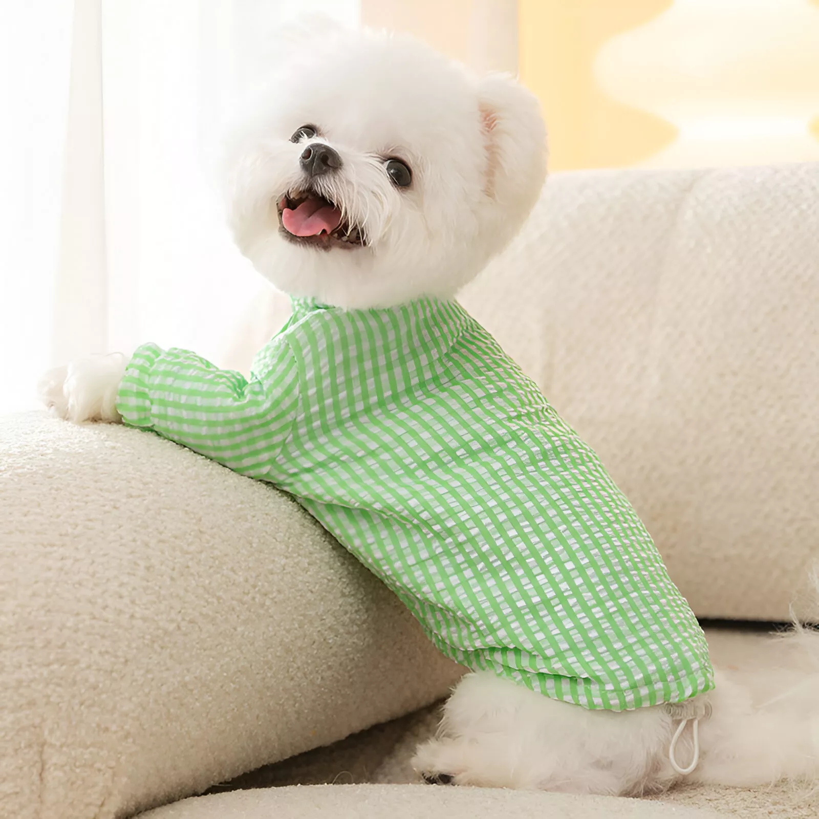 100771-753291.webp