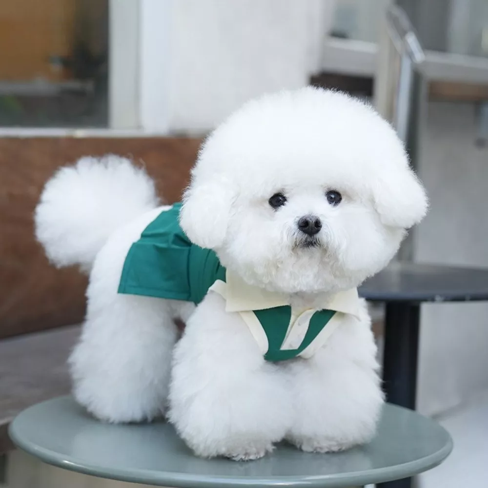 52629-c62948.webp