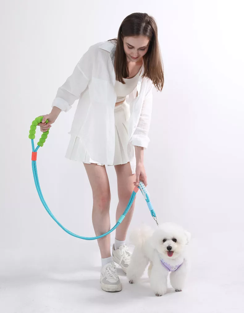 66025-7fb29a.webp