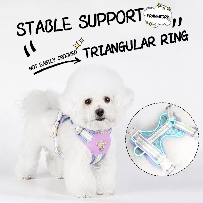158138-957b78.webp