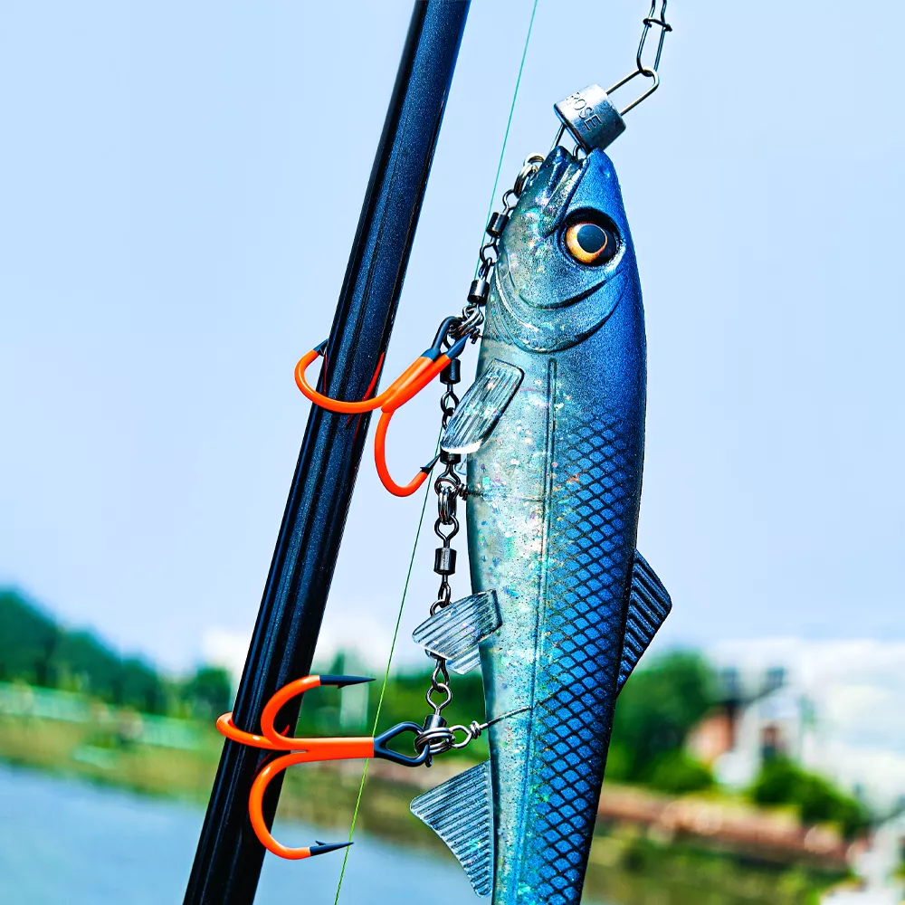 48374-7c70ec.webp