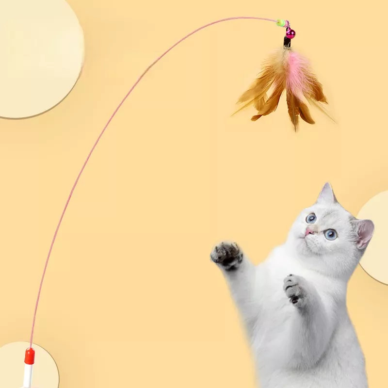 130849-174d26.webp