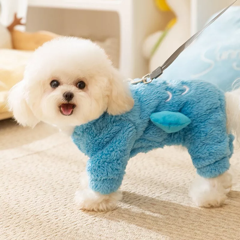 45445-5359c6.webp