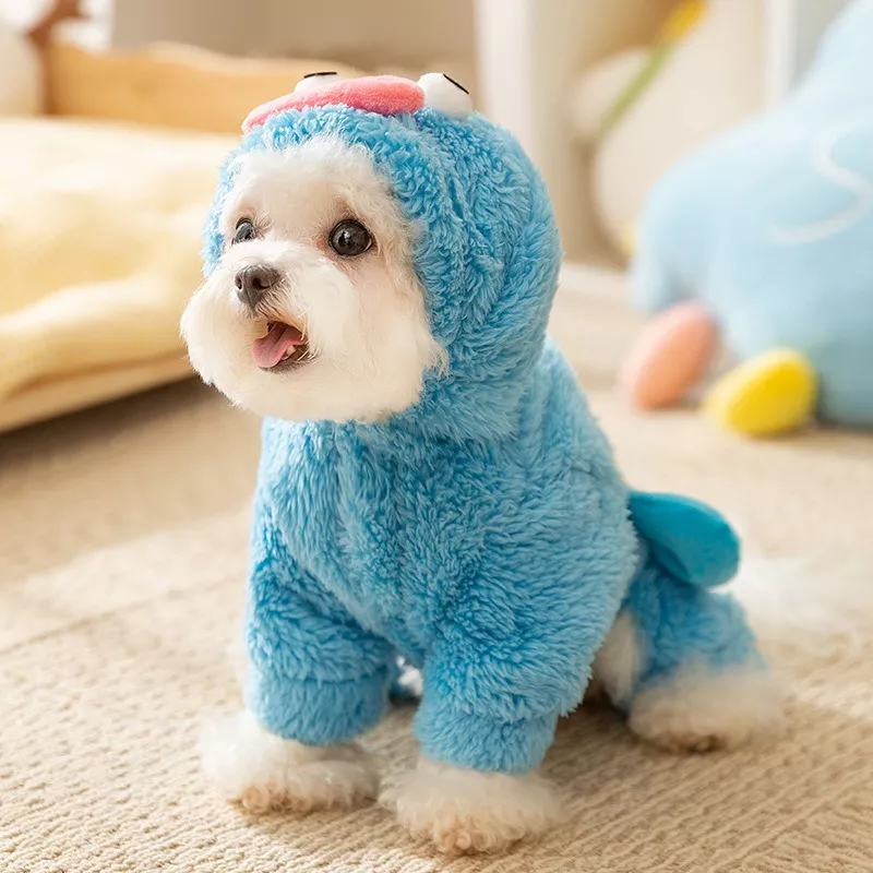 45445-a49955.webp