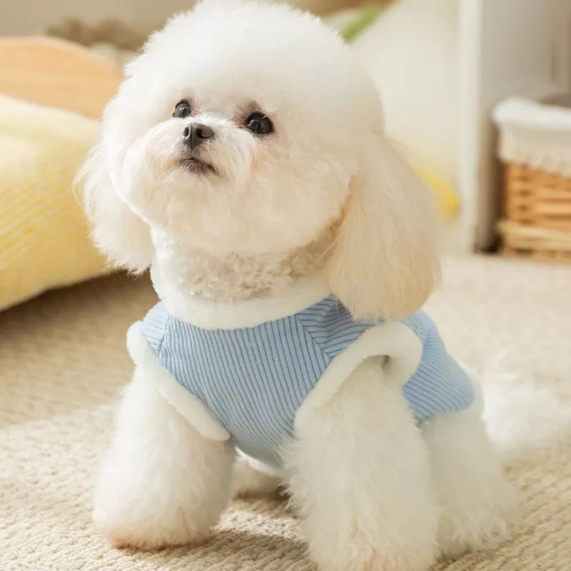 45364-21c646.webp