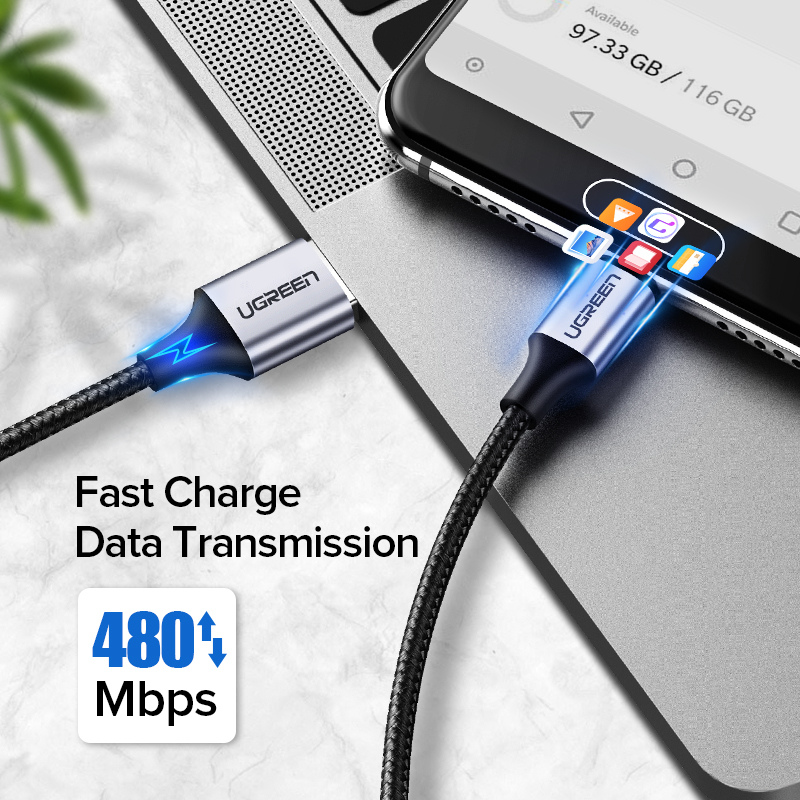 26009-c73e2c.jpg