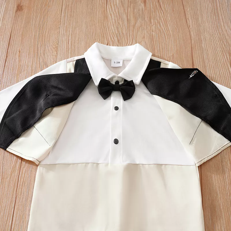 22237-fc3d91.webp
