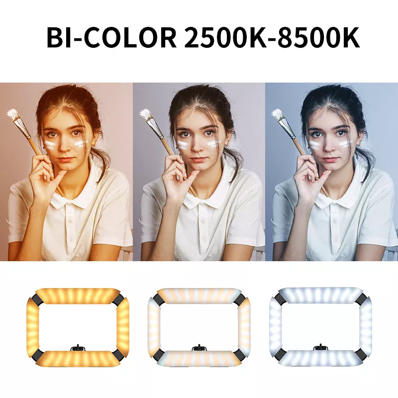 7302-029bcf.webp