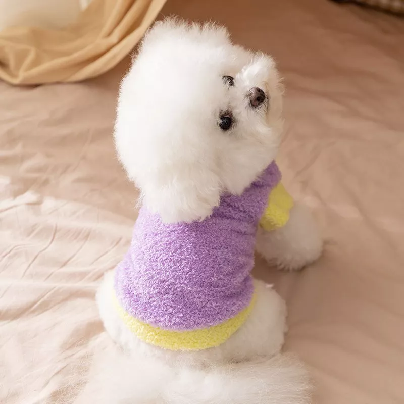 163097-0f41ab.webp