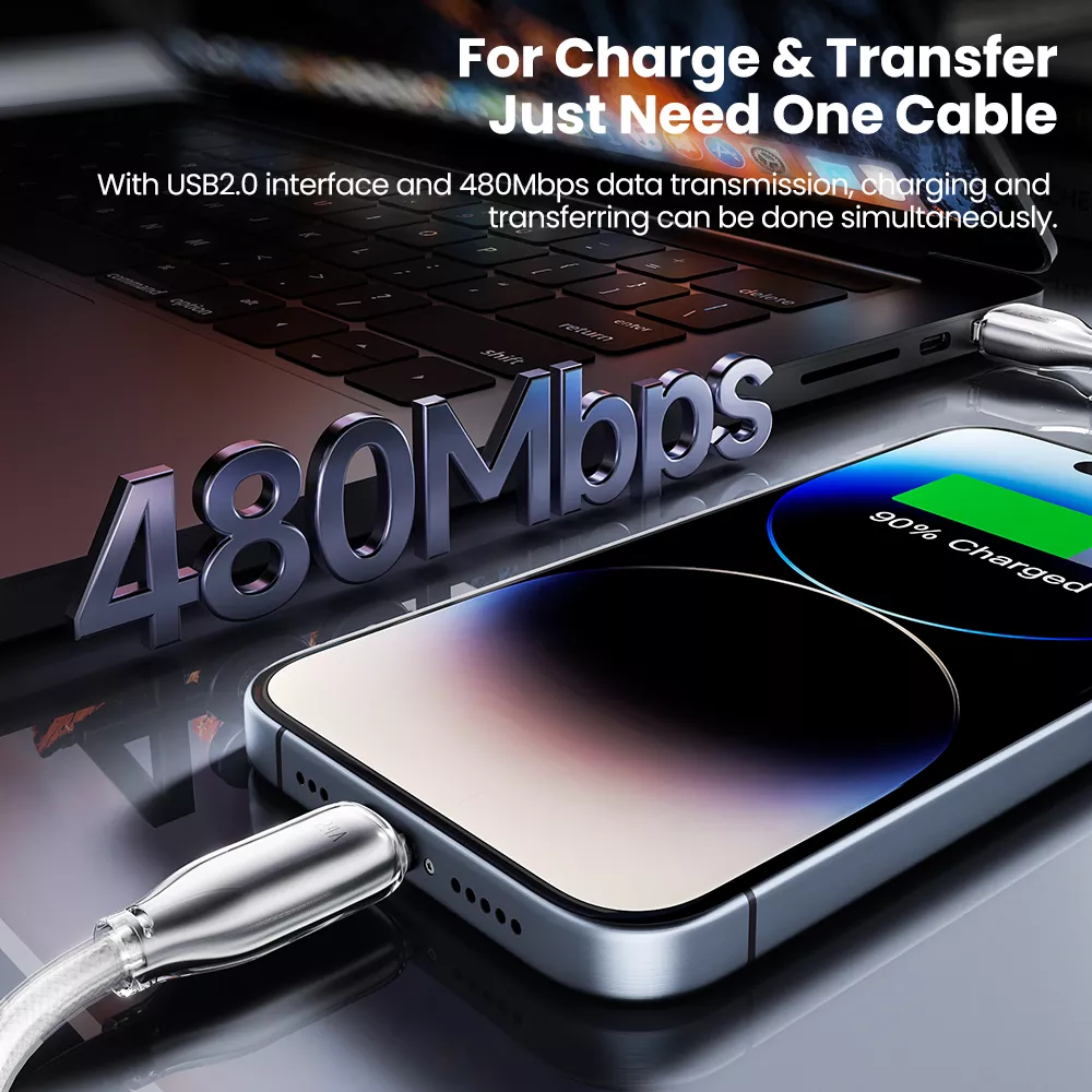 61030-d9bf37.webp