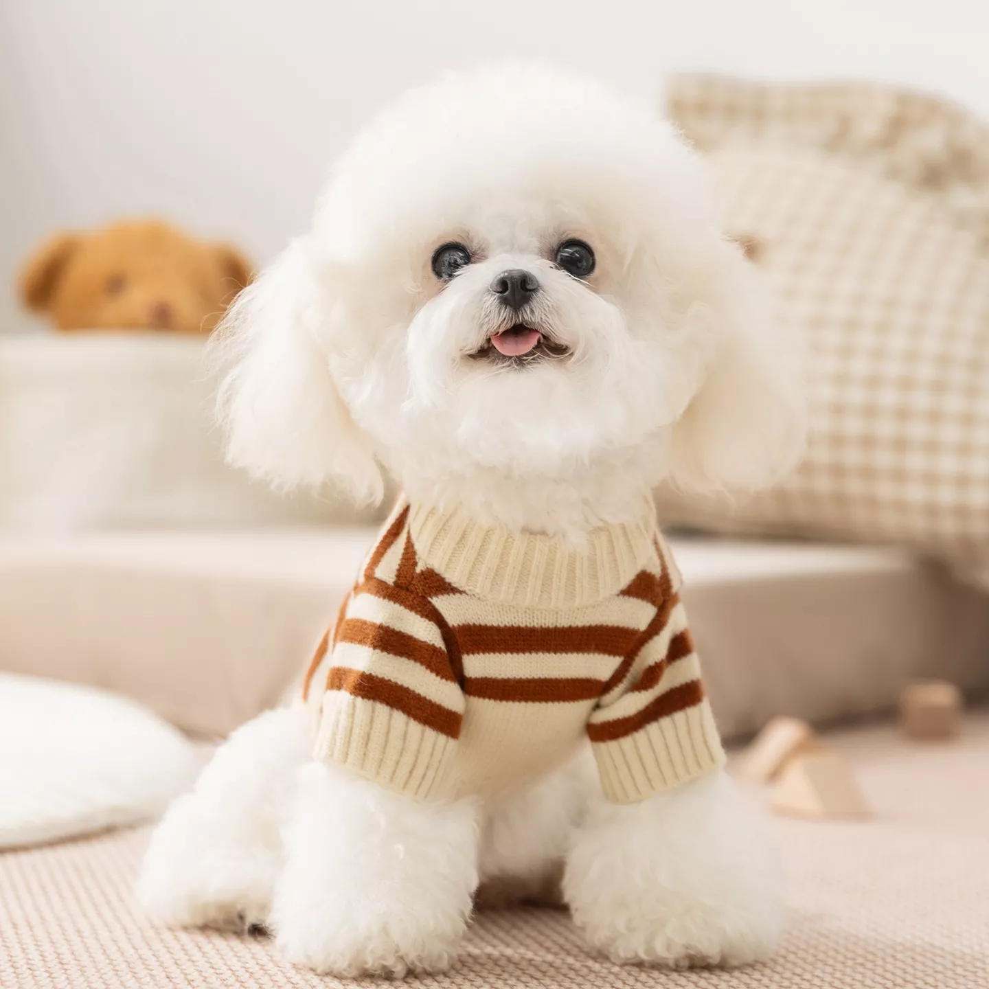 6047-f8f720.webp