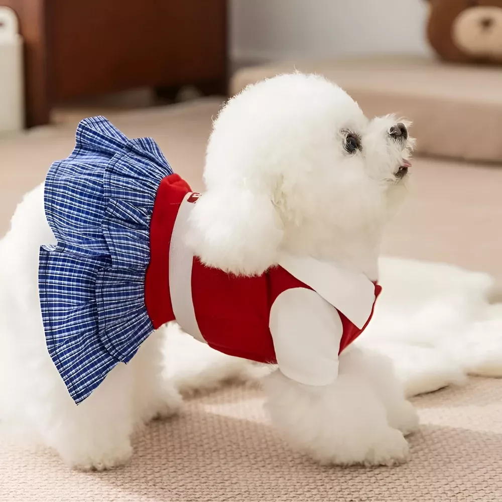 11453-f142ec.webp