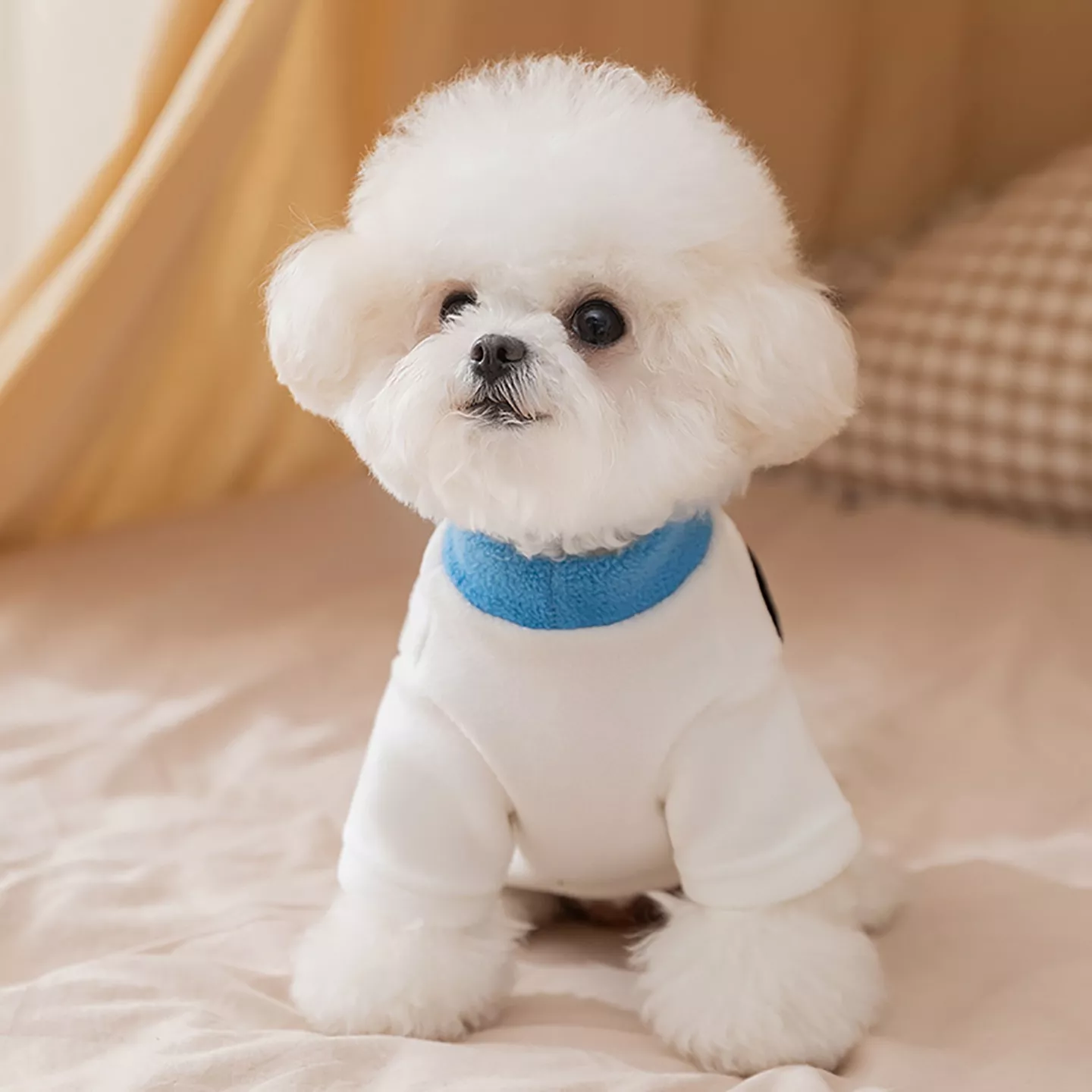 6727-17d588.webp