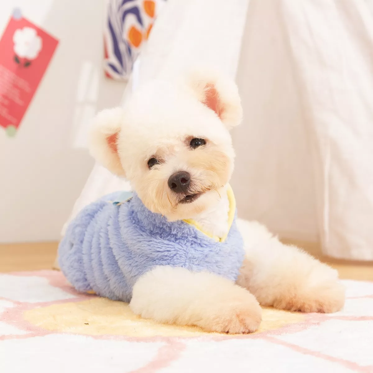 11669-c082f7.webp