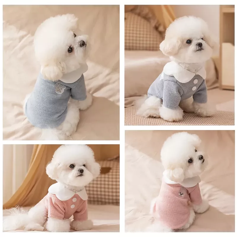 17085-e4db88.webp