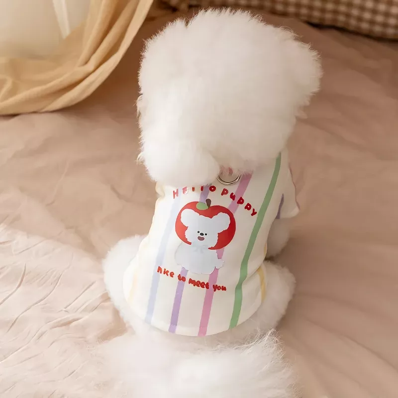 11595-1e999e.webp