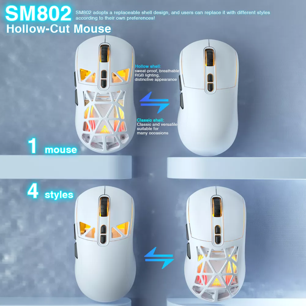 58181-d66aa3.webp