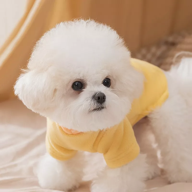 6727-e50417.webp