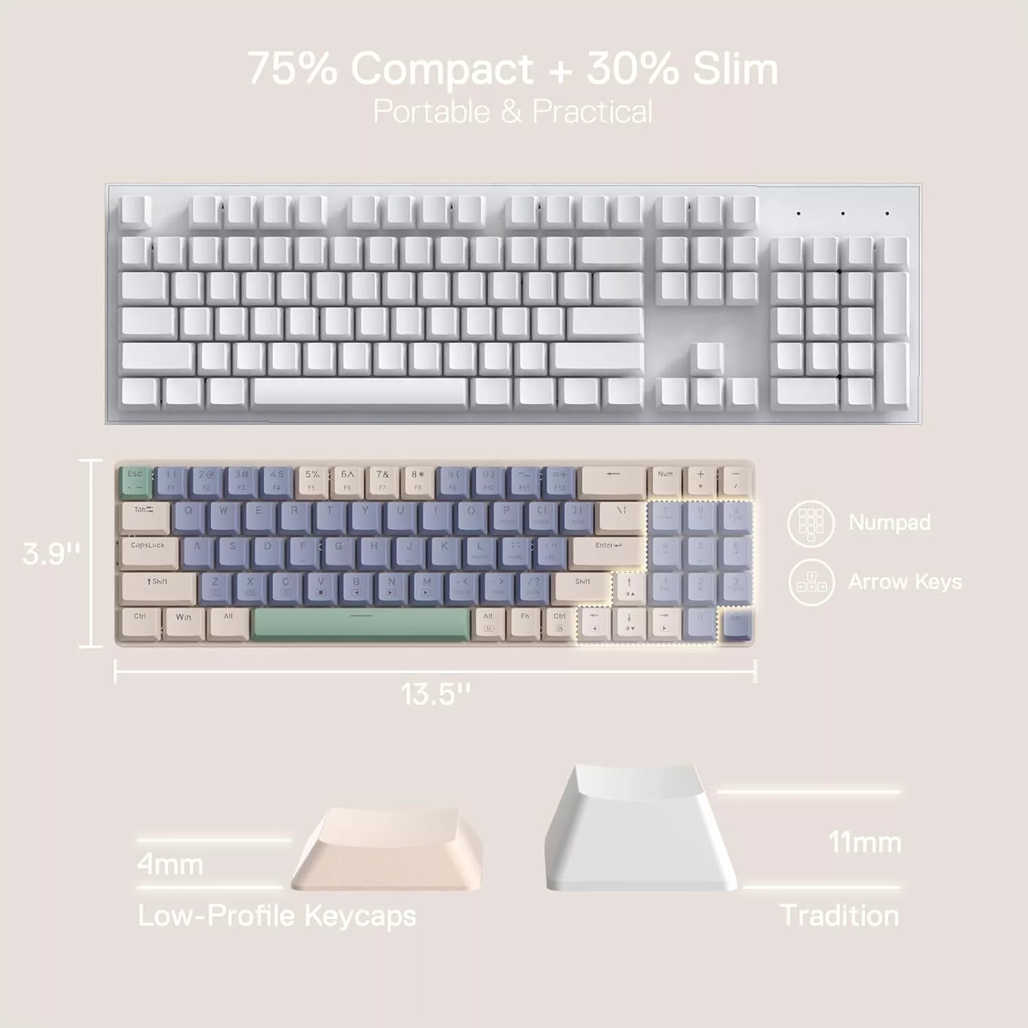 58001-c5c2a9.webp