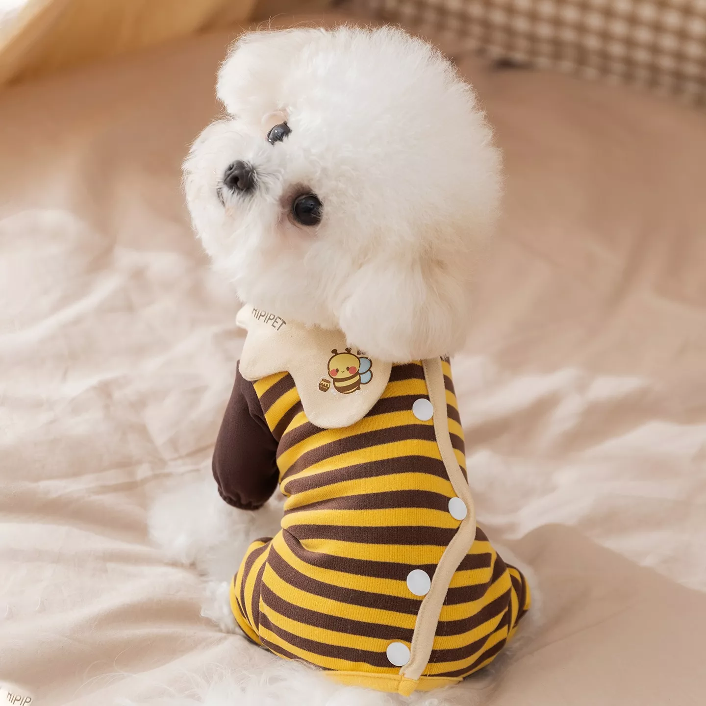 6243-b0666f.webp