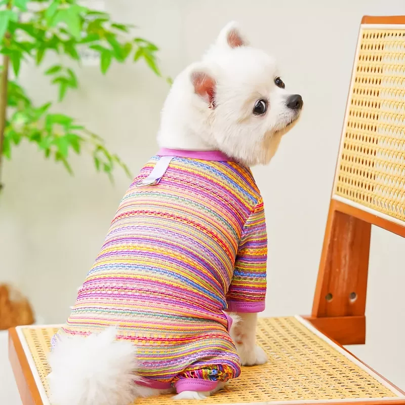 11495-7bd931.webp