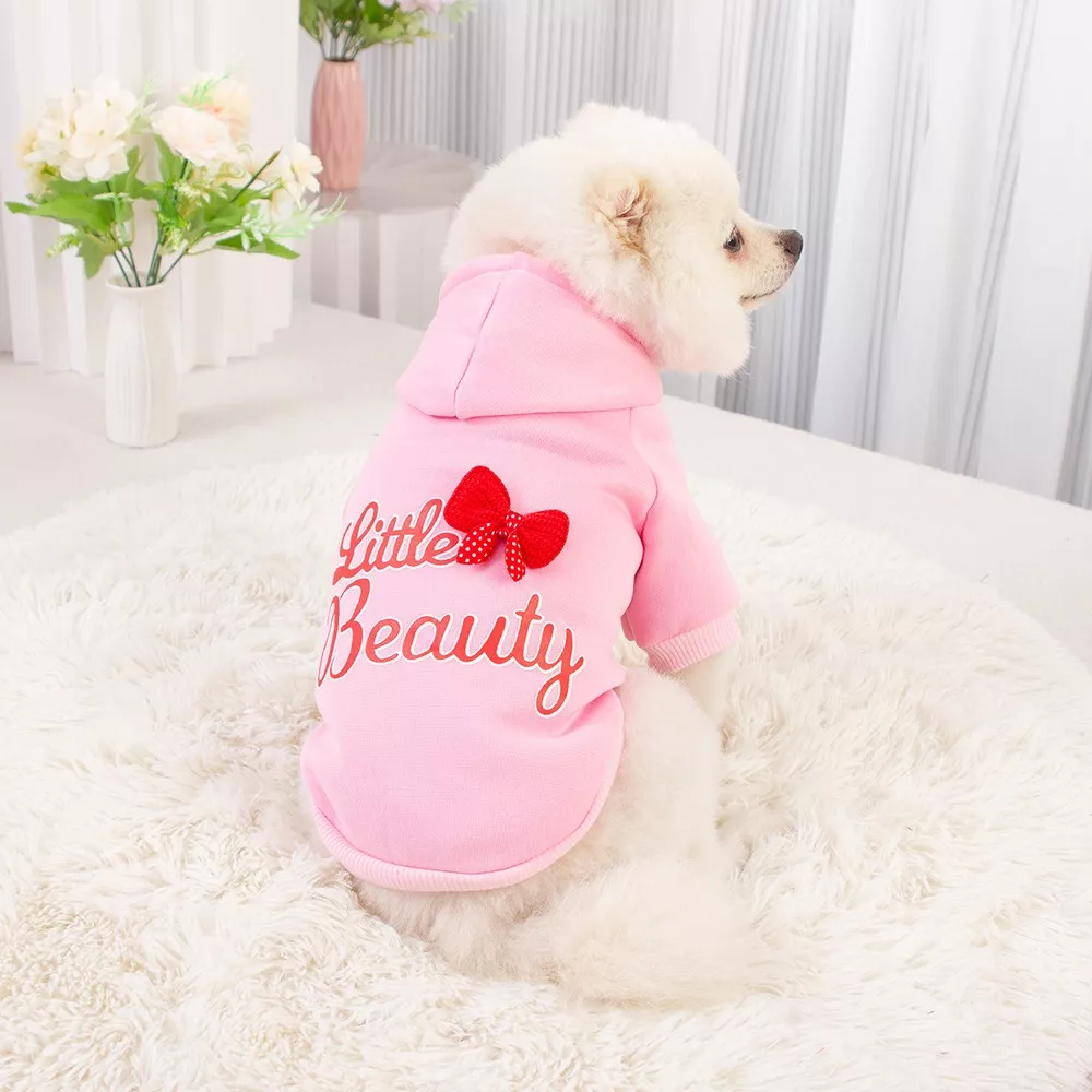 11654-5d2f39.webp