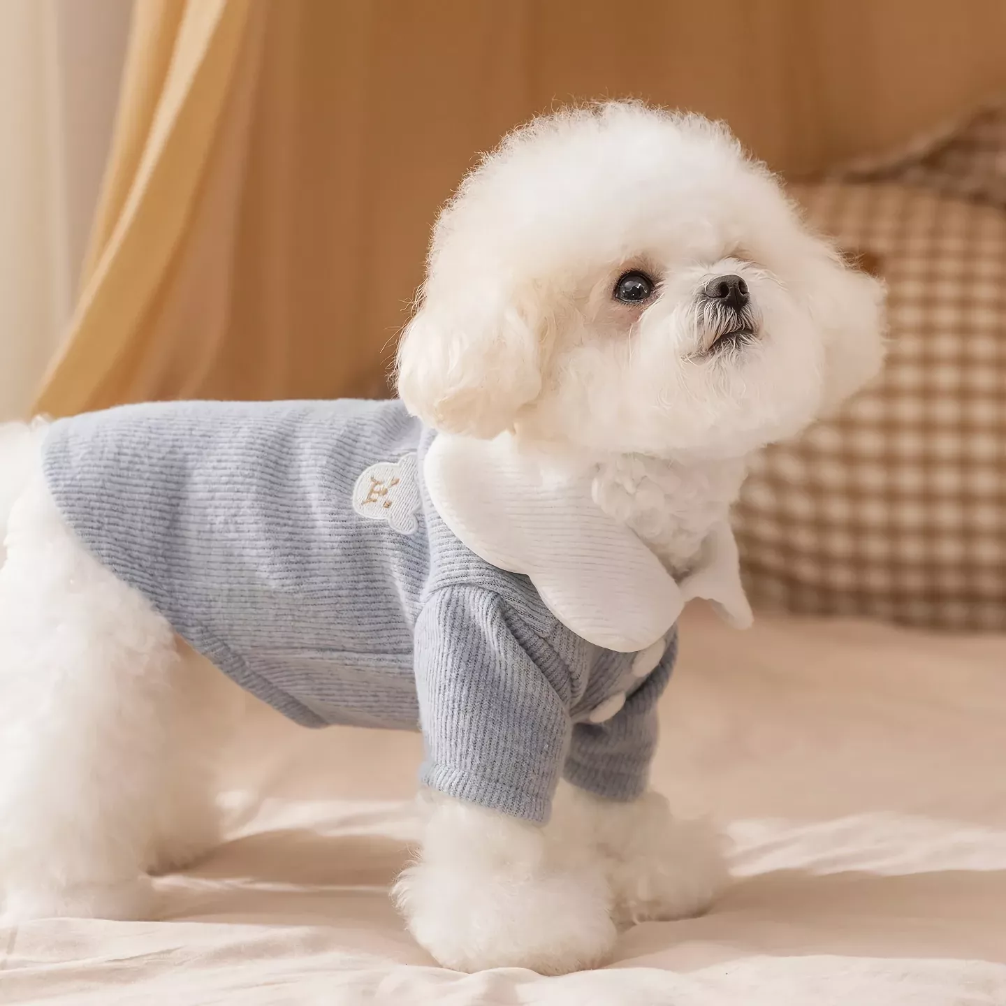17085-7c964f.webp