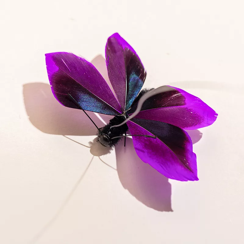 160665-6be74b.webp