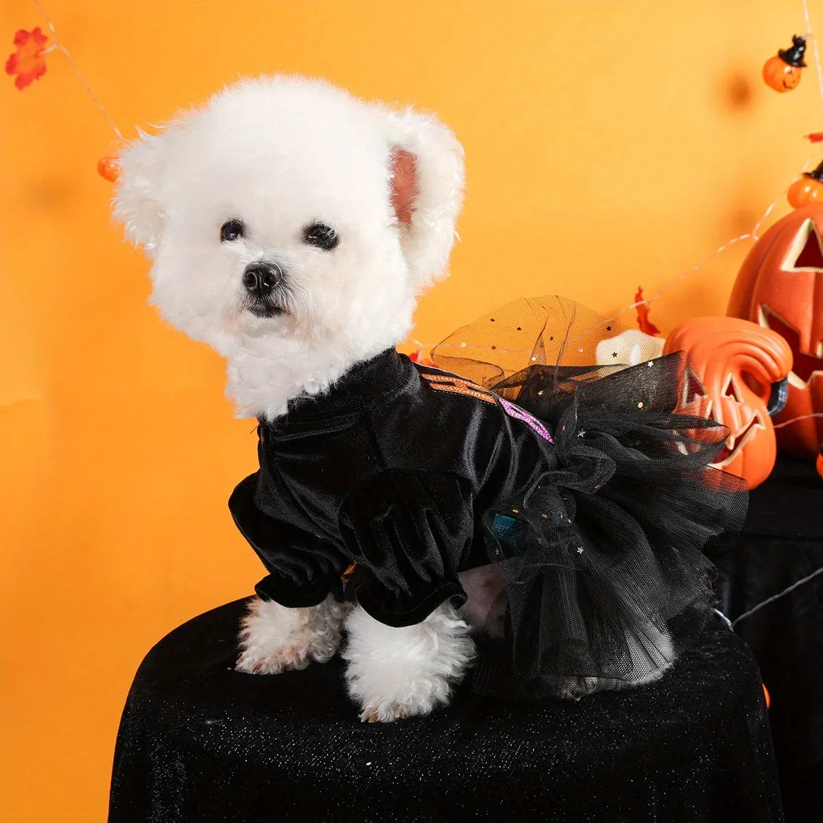 Hey Boo Halloween Pet Dress – Funny Black Mesh Costume for Dogs & Cats