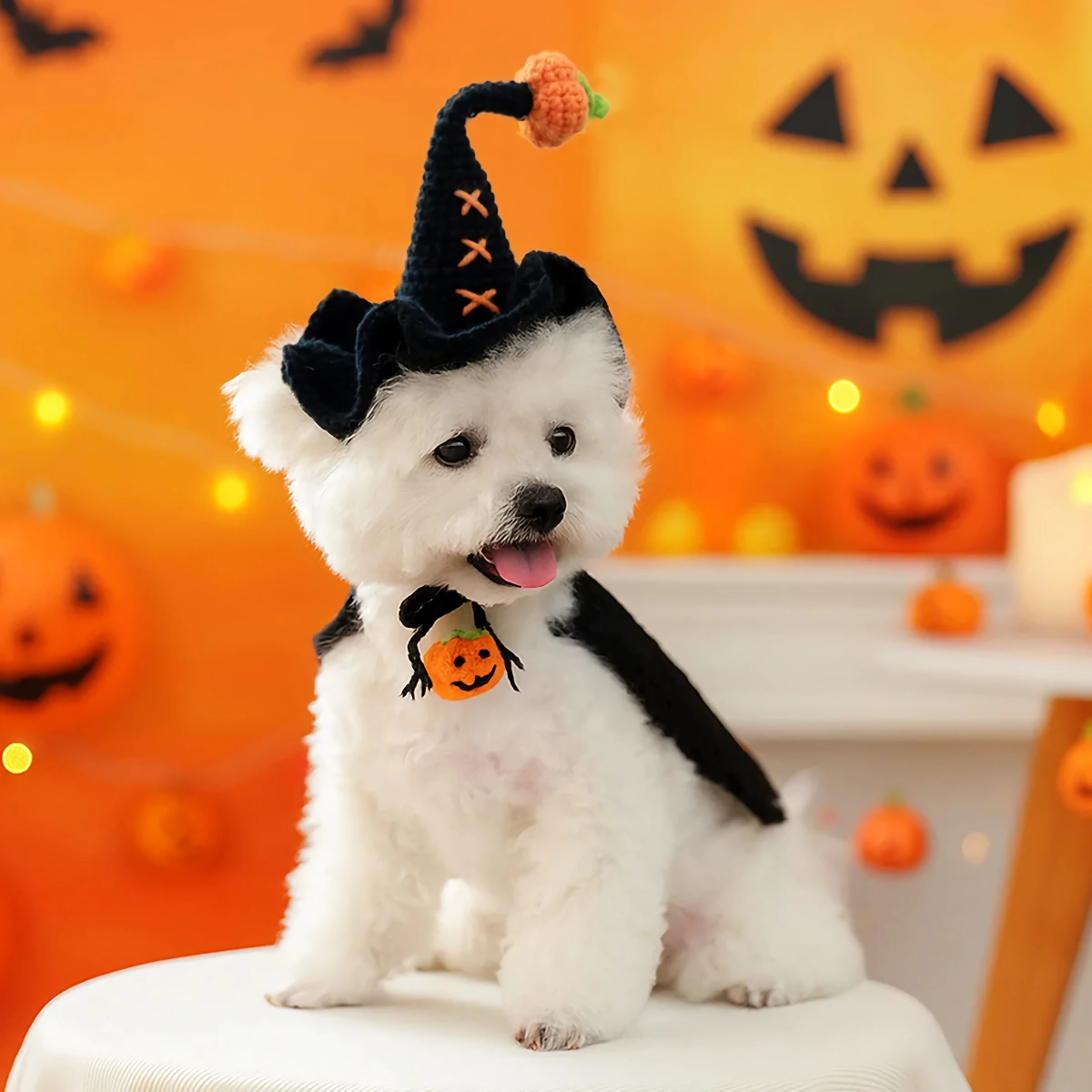 Wizard Hat for Small Dogs & Cats – Halloween Woolen Pet Costume Accessory - Image 2