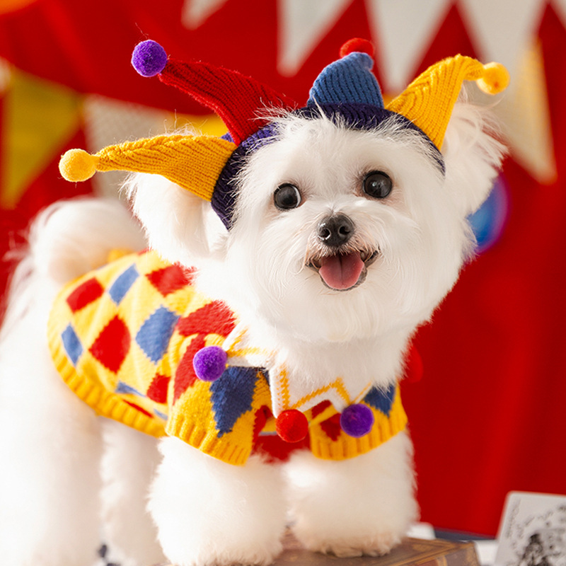 Clown Dog Sweater with Hat - Image 2