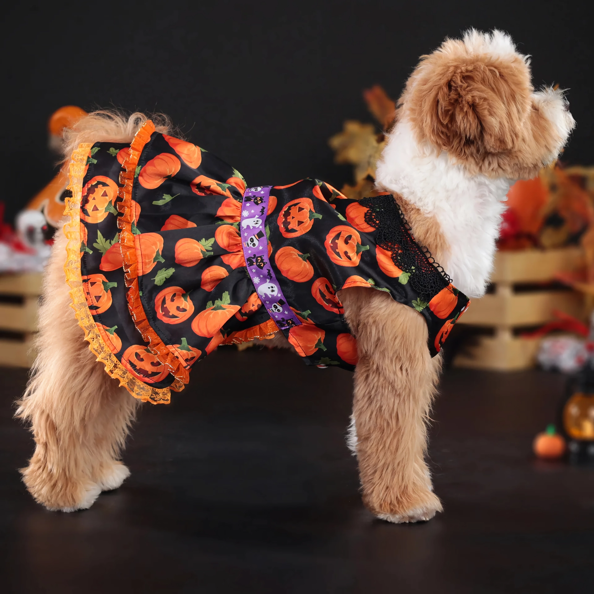 Halloween Pumpkin Dog Dress – Lace Skirt Costume for Small Dogs - Image 6