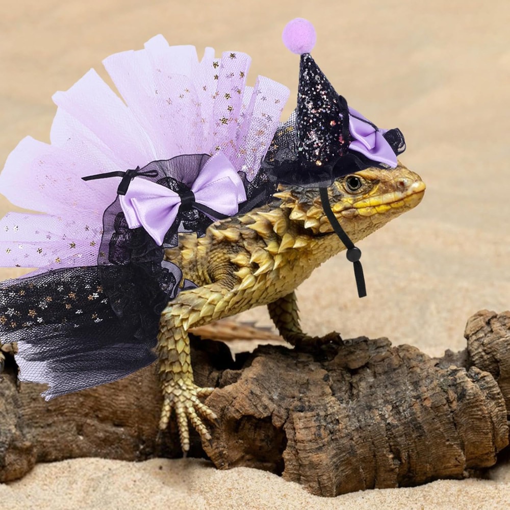 Small Pet Witch Costume Set with Hat and Tutu Skirt for Lizards, Guinea Pigs, Bunnies & Ferrets - Image 2