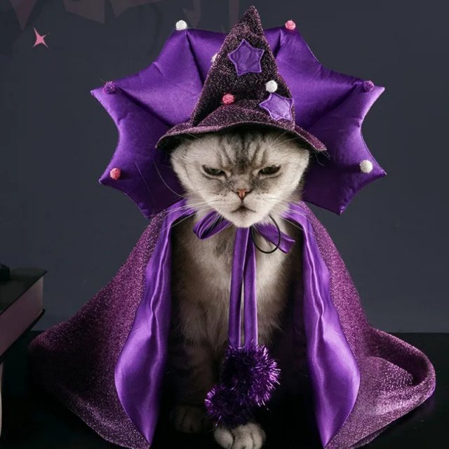 Funny Purple Witch Costume for Cats & Small Dogs – Cloak & Hat Set