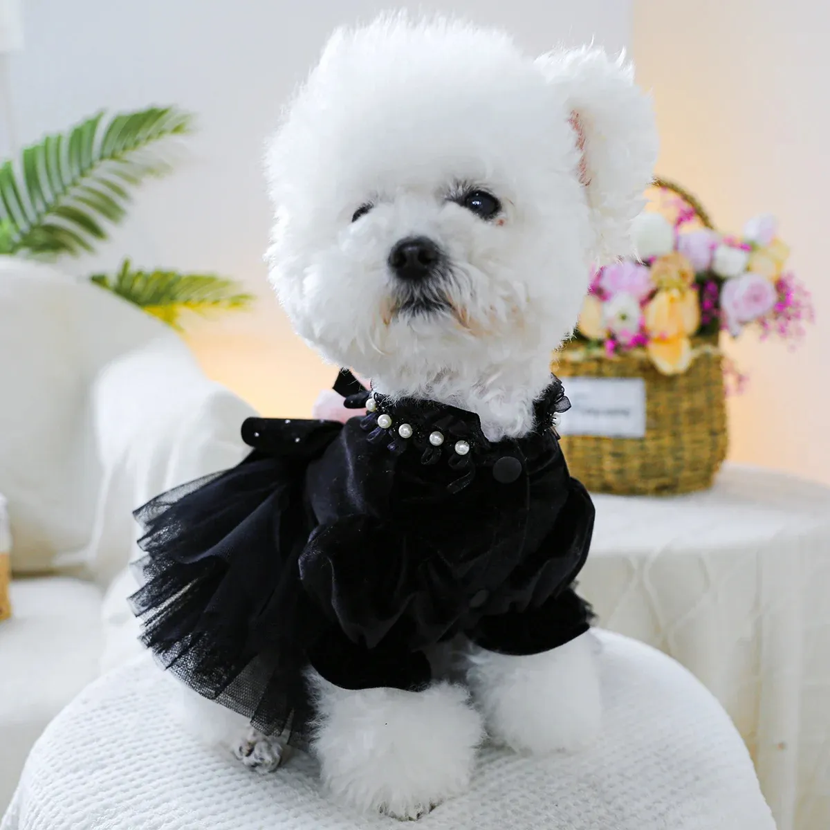 Elegant Wedding Dress for Small & Medium Dogs - Sahara Rose Black - Image 2