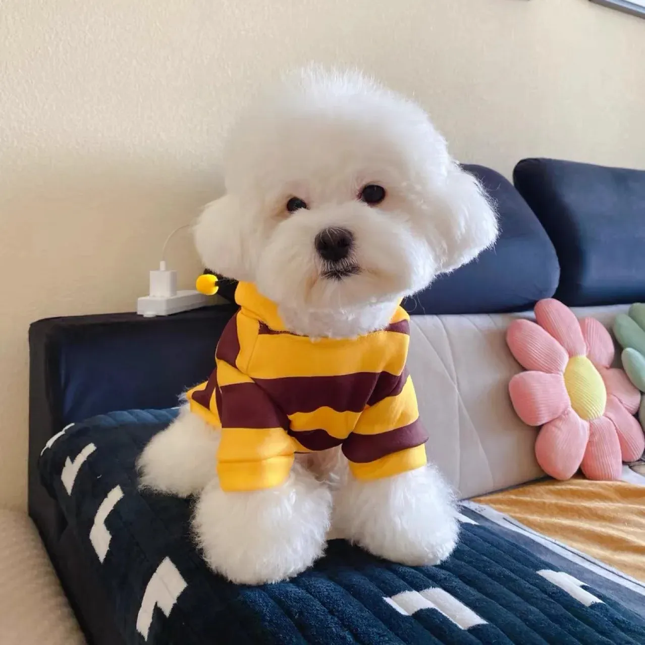 Warm Pet Hoodie – Cozy Autumn Costume for Small Dogs & Cats
