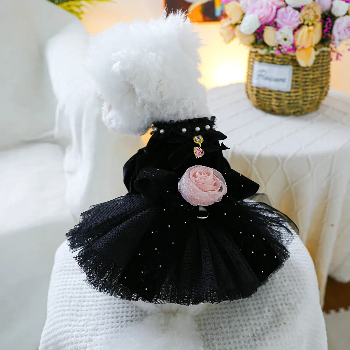Elegant Wedding Dress for Small & Medium Dogs - Sahara Rose Black - Image 4